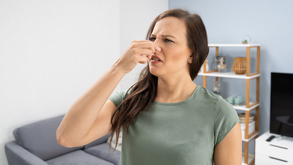 Six Common Air Conditioner Smells Decoded and How to Solve the Issue
