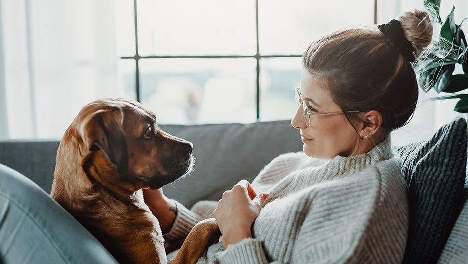Are Air Purification Systems a Waste of Money?